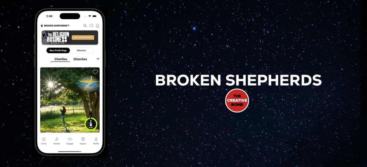 Broken Shepherds: Accountability in Nonprofit Leadership